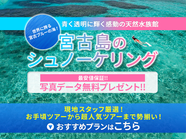 宮古島のシュノーケリング