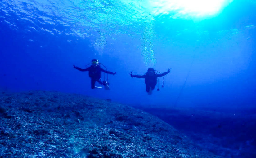 宮古島のファンダイビング