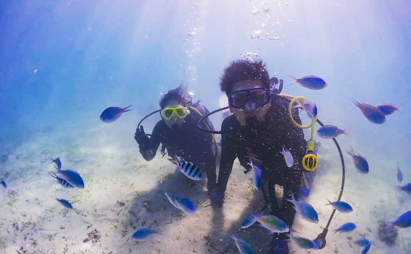 宮古島のダイビング