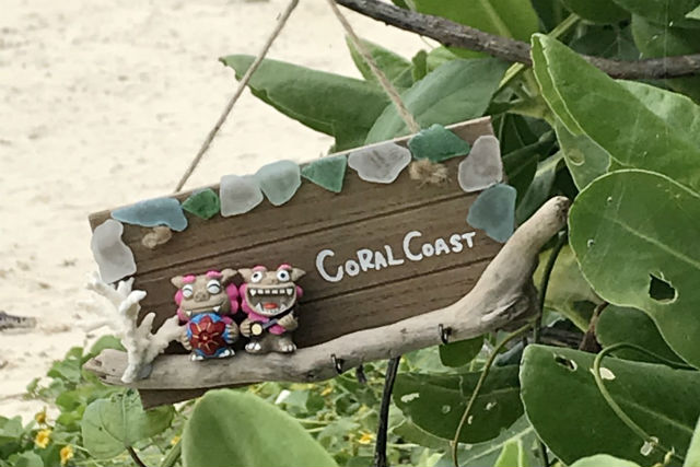 ミニシーサークラフト