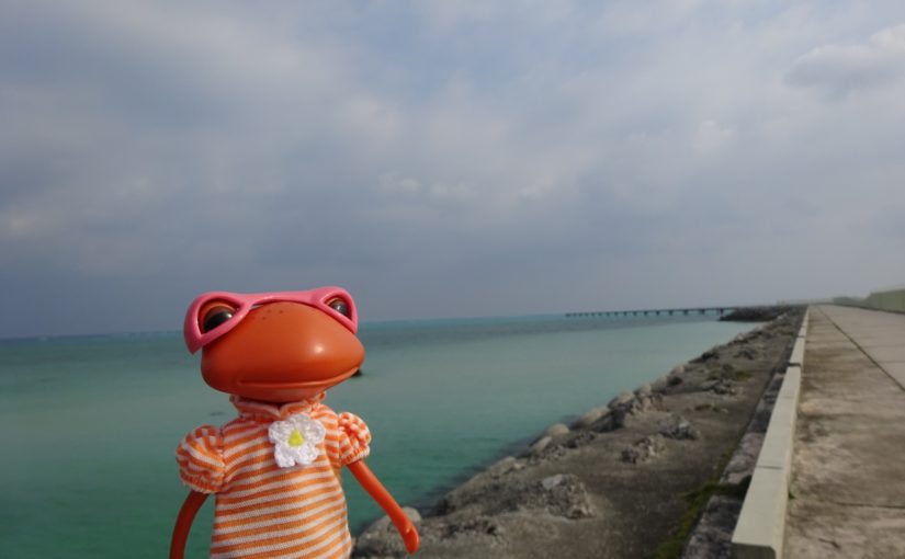 伊良部島の観光スポットの平成の森公園