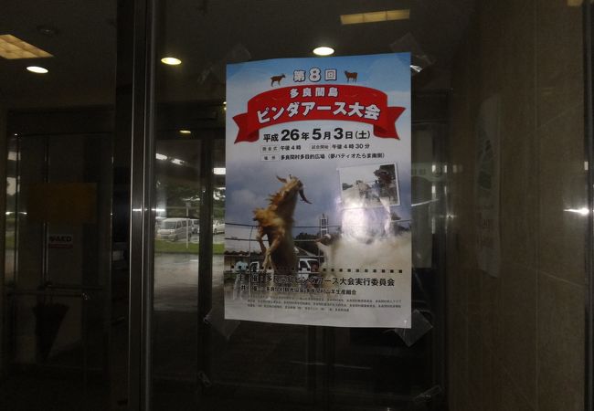 多良間島-ピンダアース大会