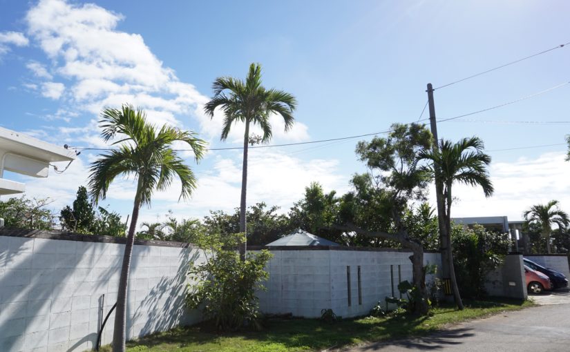 宮古島のりゅうの庭