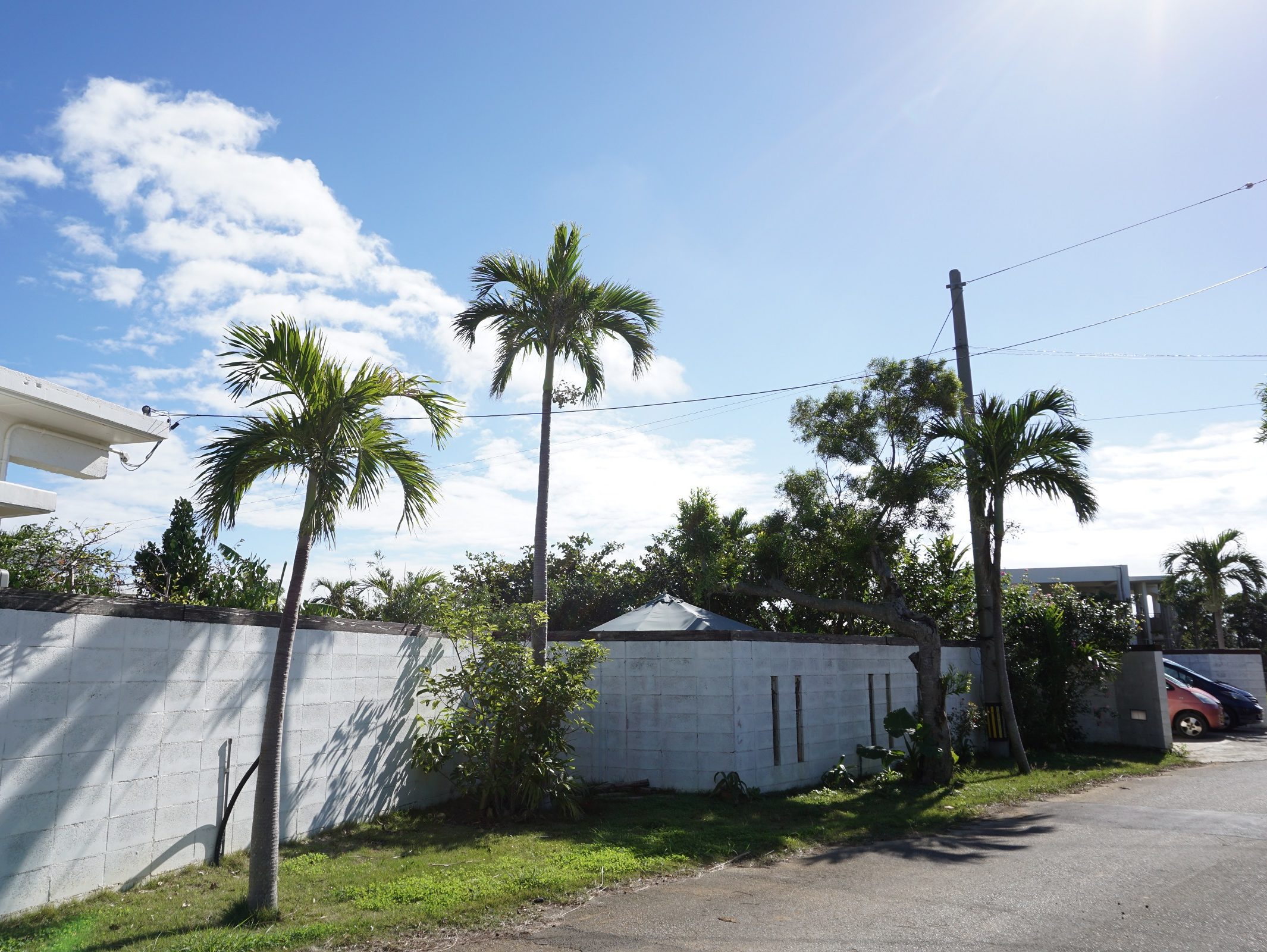宮古島のりゅうの庭
