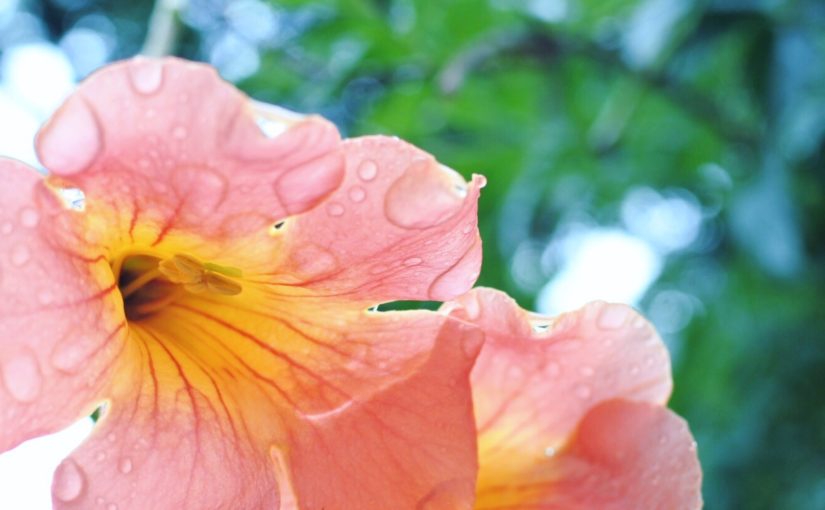 雨の宮古島イメージ