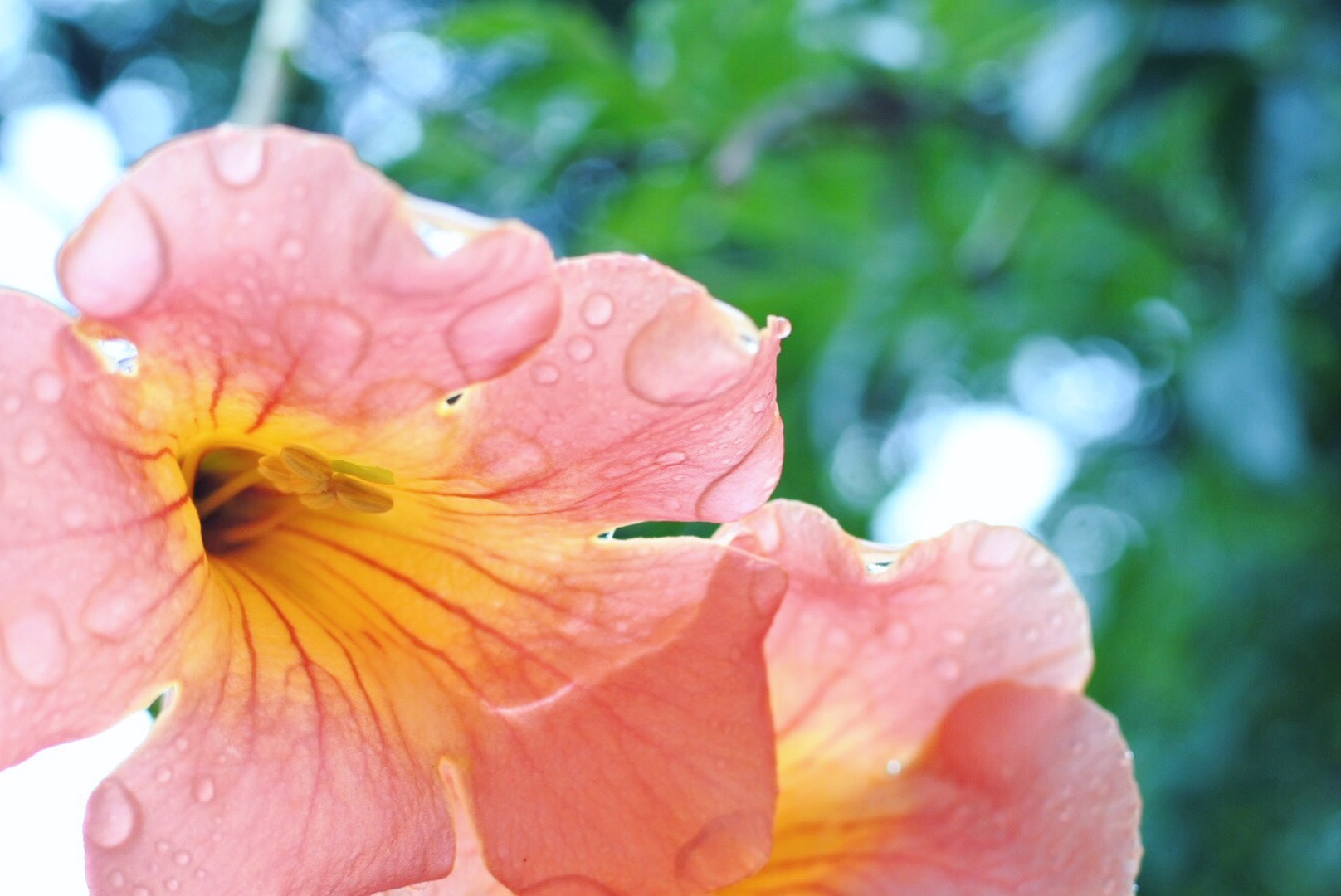 雨の宮古島イメージ