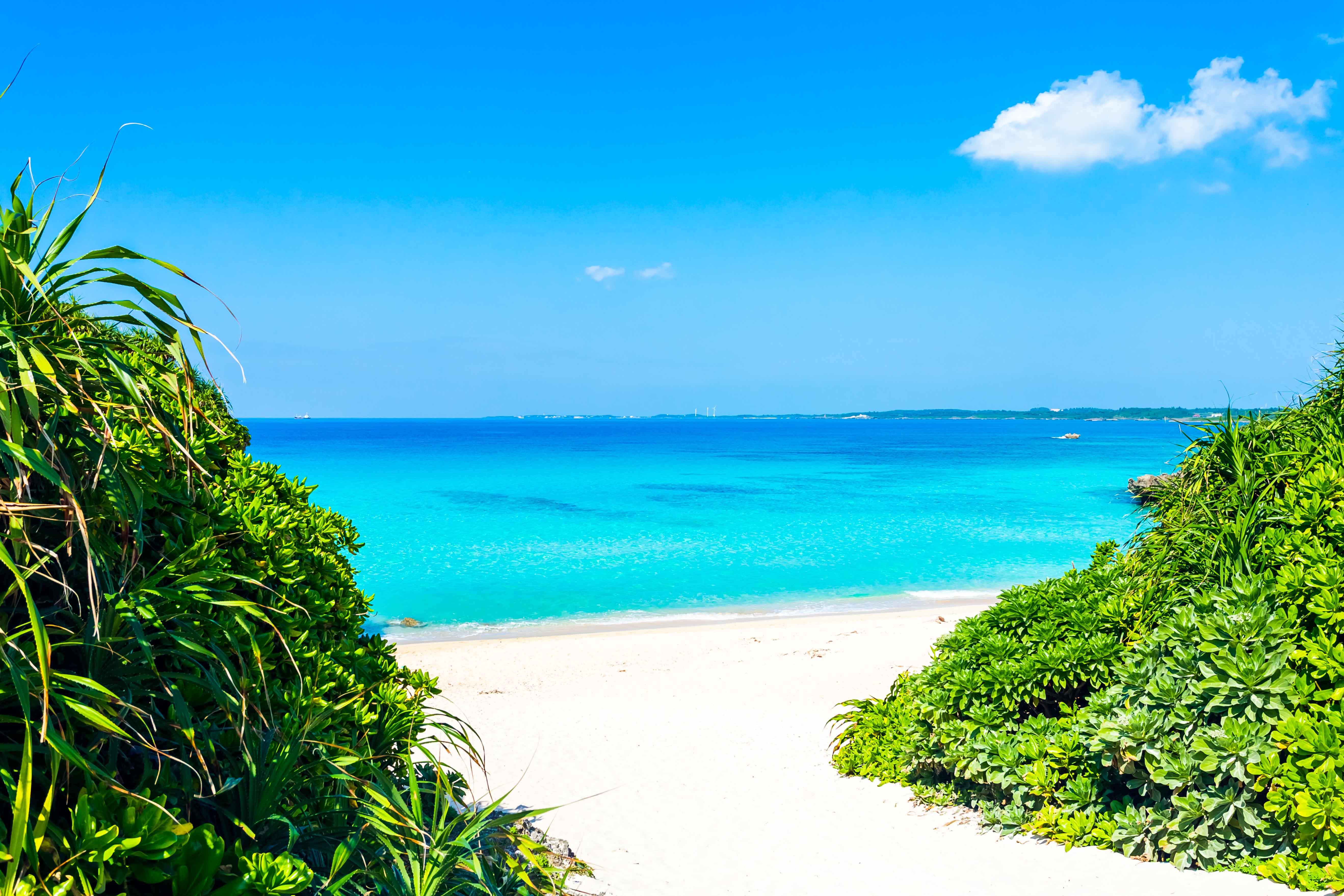 宮古島の夏のイメージ