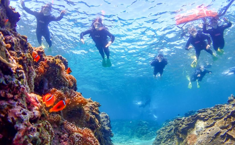 宮古島でシュノーケリングツアーに参加