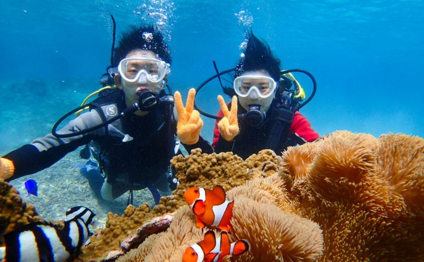 宮古島の体験ダイビング
