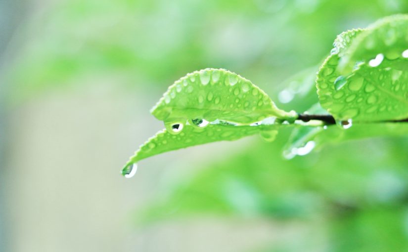 6月の宮古島のイメージ