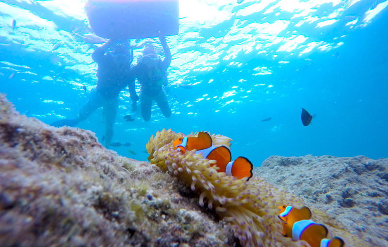 宮古島のシュノーケリング