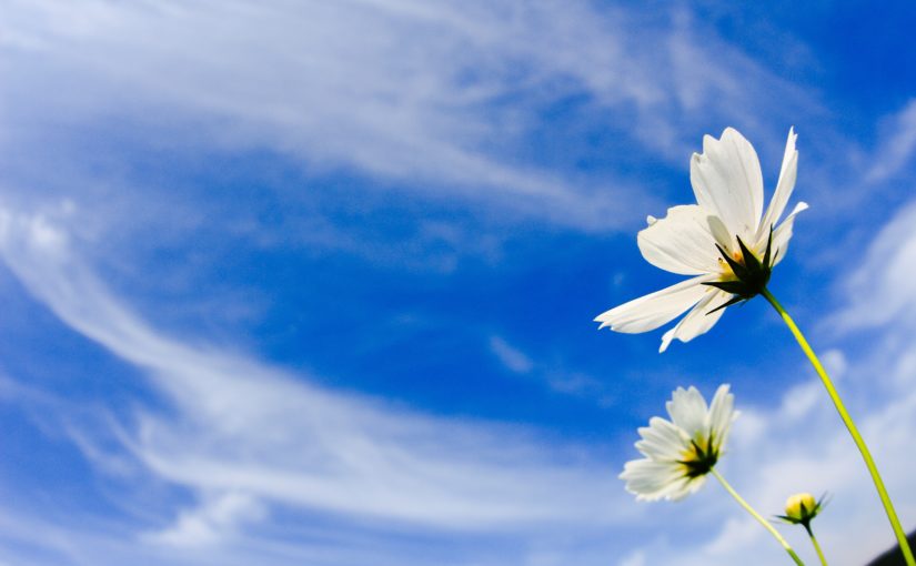 宮古島の秋のイメージ