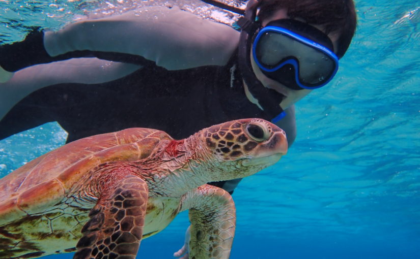 宮古島のシュノーケリング