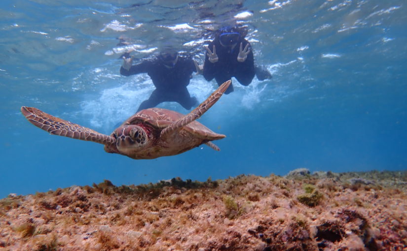 宮古島のシュノーケリング