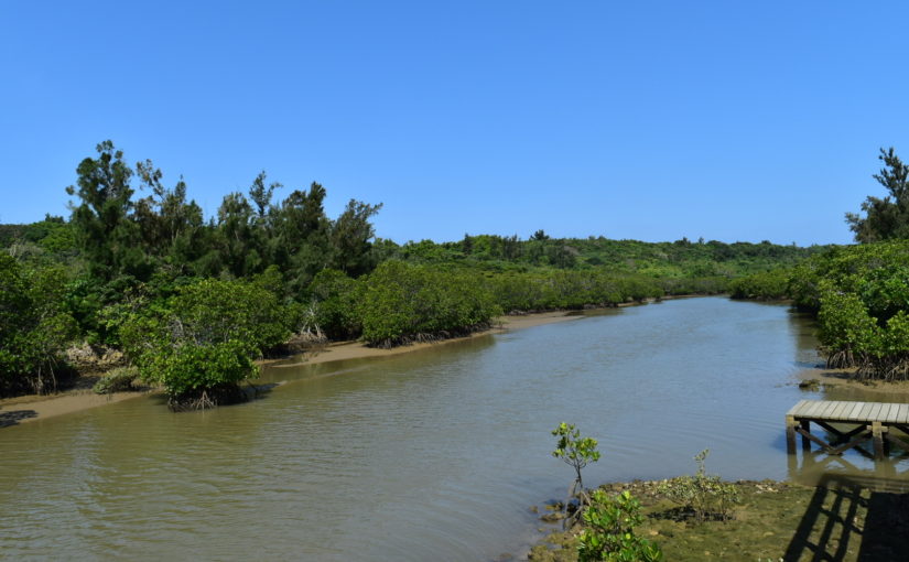 島尻マングローブ