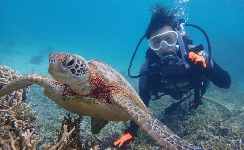 marine assist DEMI　ダイビング