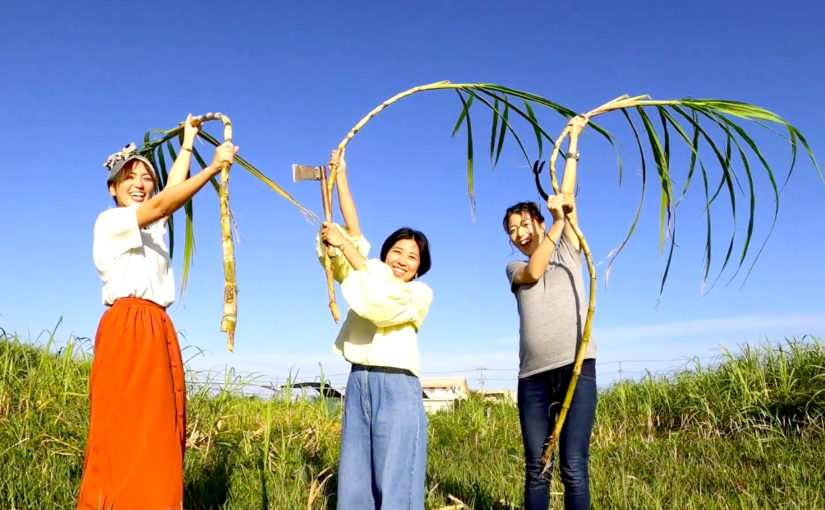 宮古島、手作り、黒糖、島バナナ、サトウキビ、オーガニック、体験