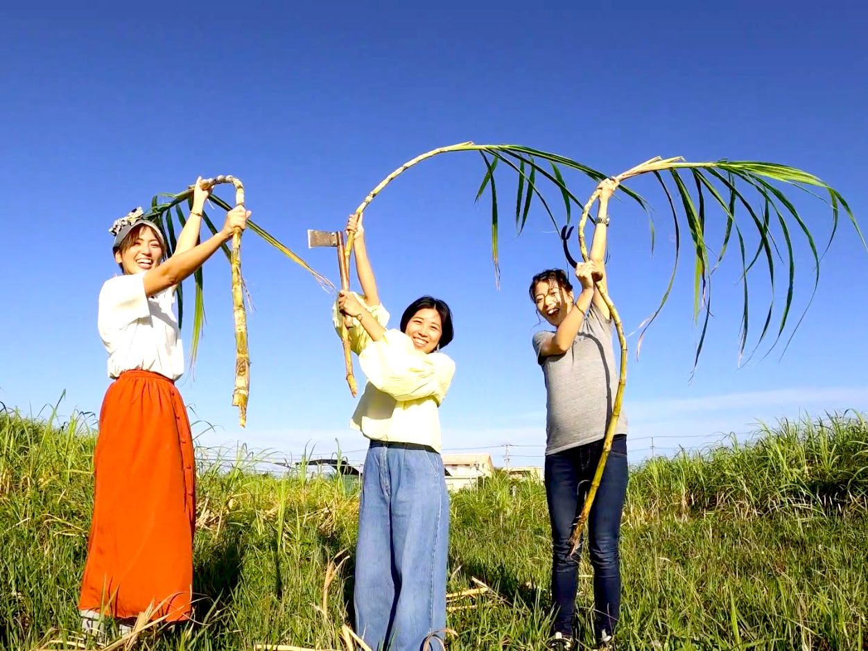 宮古島、手作り、黒糖、島バナナ、サトウキビ、オーガニック、体験