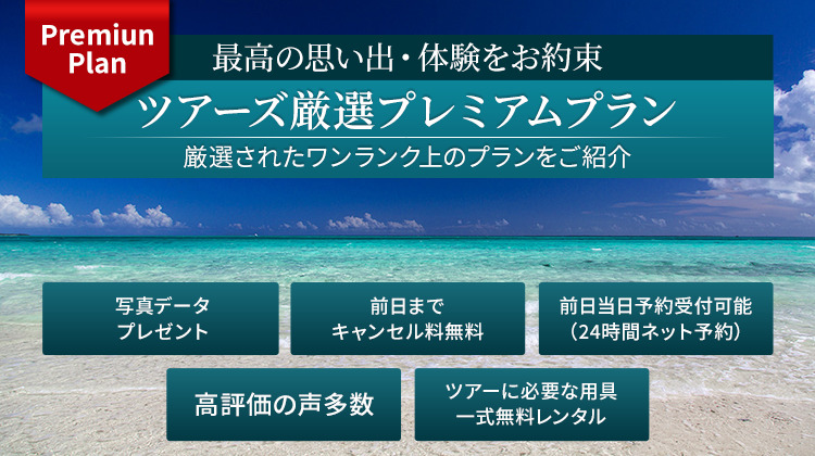 プレミアムプラン