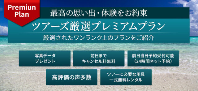 プレミアムプラン